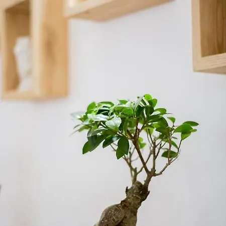 La Casa Del Borgo - Con Giardino Privato