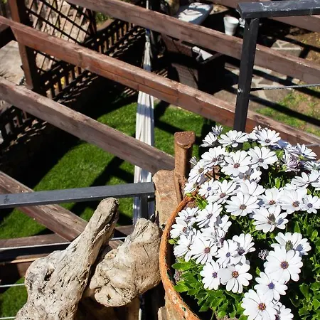 Feriehus La Casa Del Borgo - Con Giardino Privato Cefalù